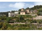 DAS ANDERE MALLORCA