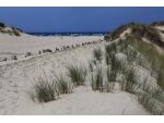 DAS ERHOLSAME MALLORCA