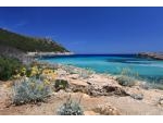 DAS ERHOLSAME MALLORCA