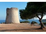 DAS SEHENSWERTE MALLORCA